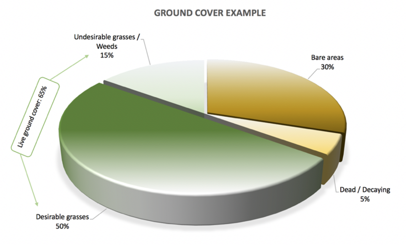 Example of ground cover analysis
